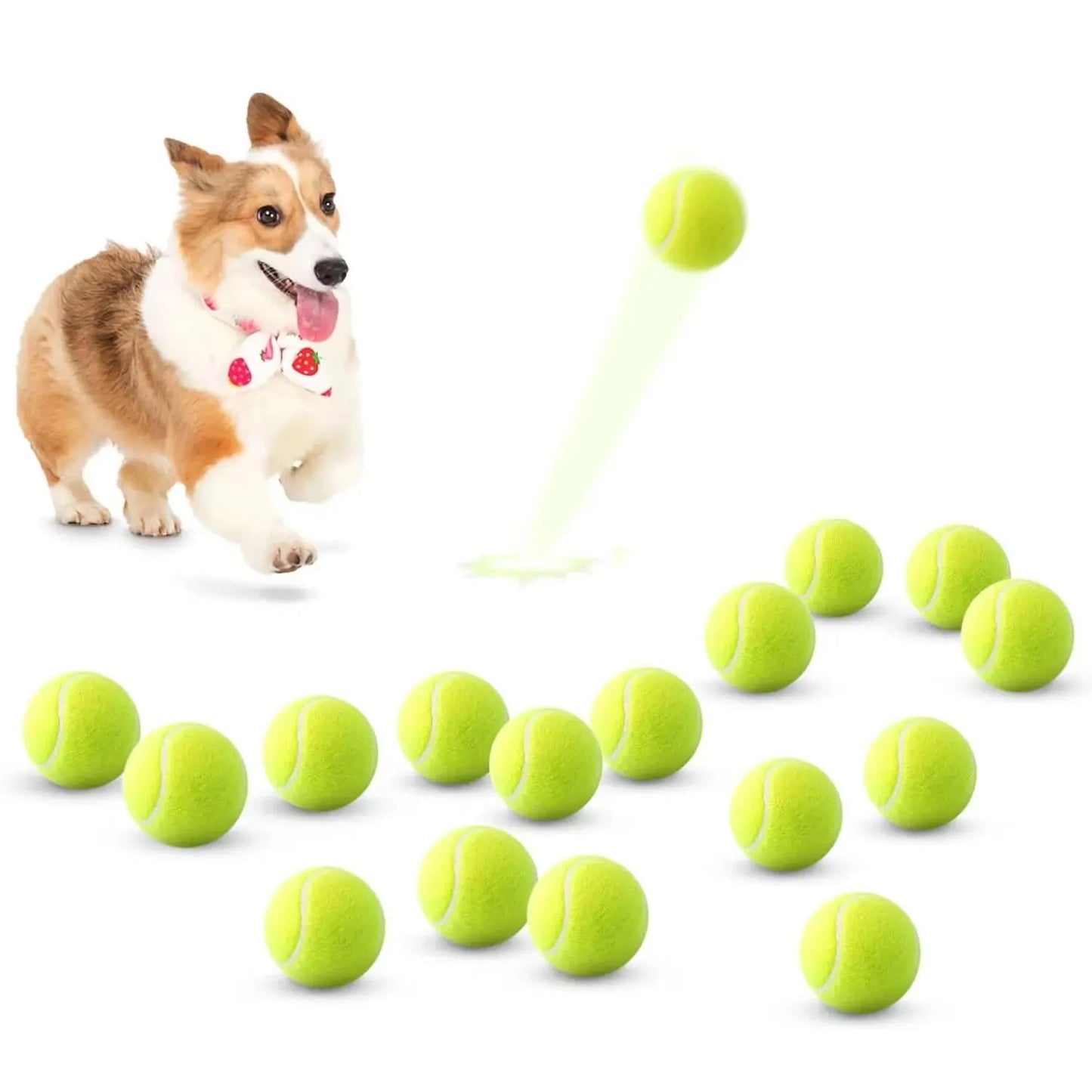 Tennis Balls for Dogs