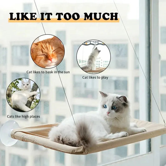 Cat Window Wall Perch Hammock