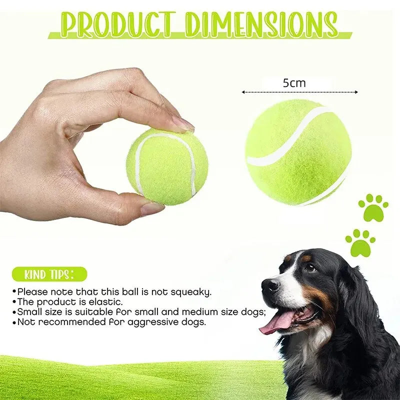 Tennis Balls for Dogs