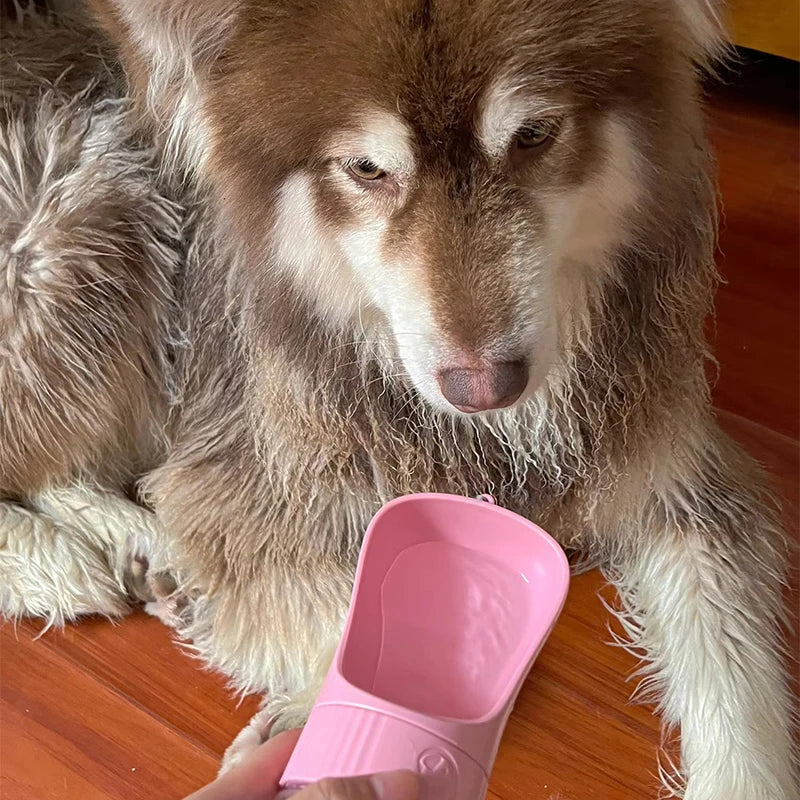 Portable Dog Water Bottle
