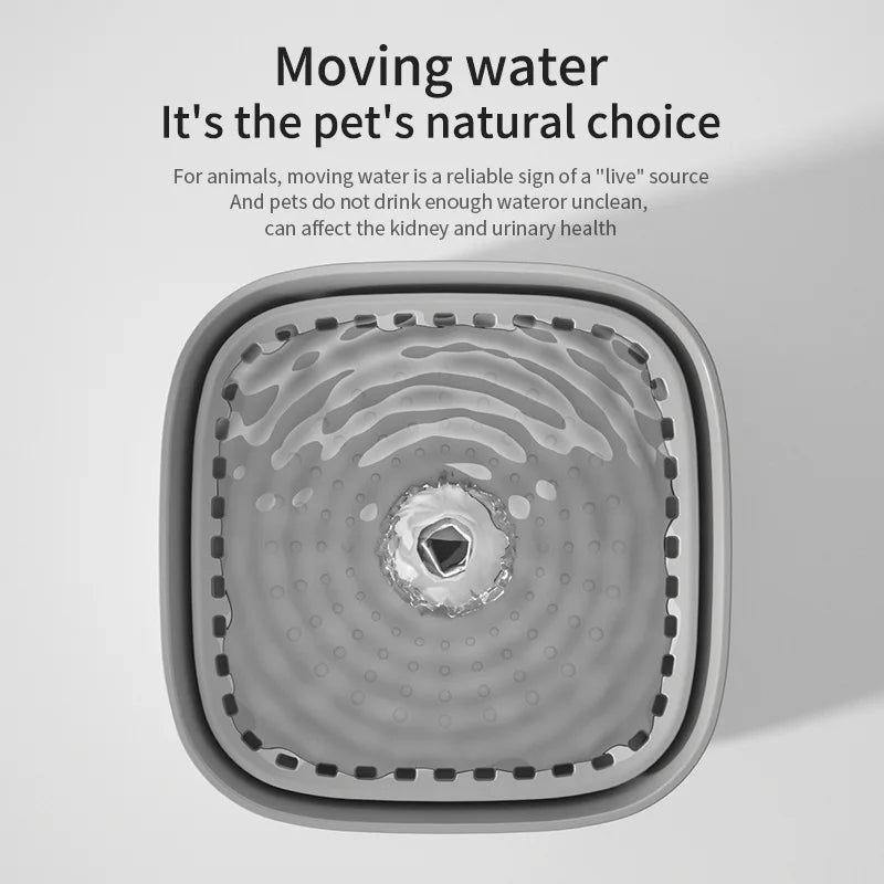 101oz/3L Pet Water Fountain